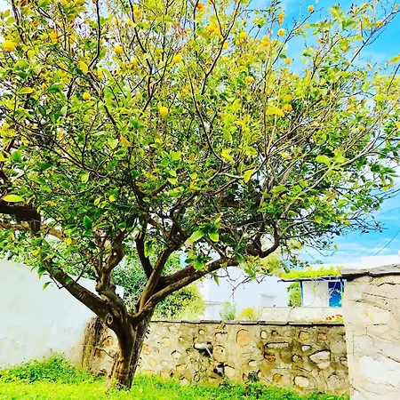 Lejlighed Limni No 1 In Peaceful Poseidonia *