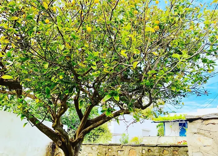 Lägenhet Limni No 1 In Peaceful Poseidonia *